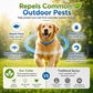 ⏰🔥LIMITED TIME 50% OFF!🔥50K+ SOLD! Natural Essential Oil Pet Pest Repellent Collar