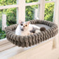 🐱🪟Foldable Suction Cat Window Hammock |Folds Flat Against the Window When Not in Use☁️