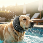 📢📢BUY 1 GET 1 FREE!  !! ⏰Waterproof Dog Hoodie – Calming fit & weather‑ready ✨