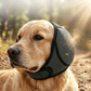 📢📢BUY 1 GET 1 FREE!  !! ⏰Waterproof Dog Hoodie – Calming fit & weather‑ready ✨