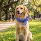 📢📢BUY 1 GET 1 FREE !! ⏰Summer Pet Cooling Collar Wrap