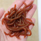 🎣 LIMITED-TIME 50% OFF! ✨ Simulation Earthworm Soft Fishing Lures – Scented, Lifelike, Durable 🌊