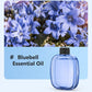 ⏳🔥LIMITED-TIME 50% OFF! ⏰🌸 Automatic Aromatherapy Diffuser – Fresh Fragrance, Relaxing Atmosphere 🎁✨