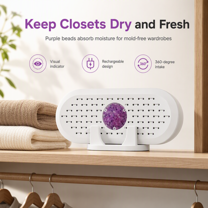 💧 50% OFF | Mini Reusable Closet Dehumidifier